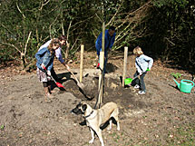 plaatje: Plant een speciale boom  voor uw dierbare op  zaterdag 14 maart a.s.